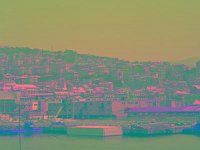 IMGP2598 edited (Medium)